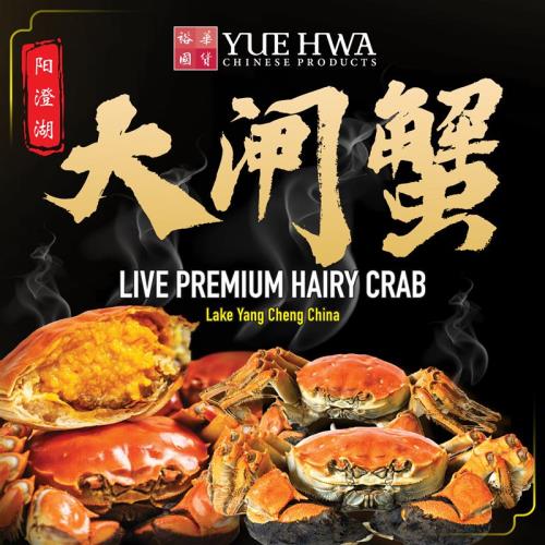 9OCT_HAIRY-CRAB-WEB-BANNER_NEX 500X500