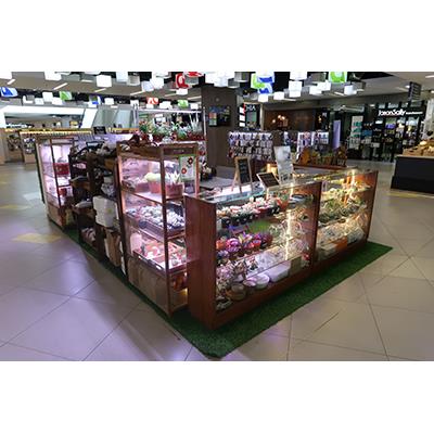 FittoniaMania Shopfront