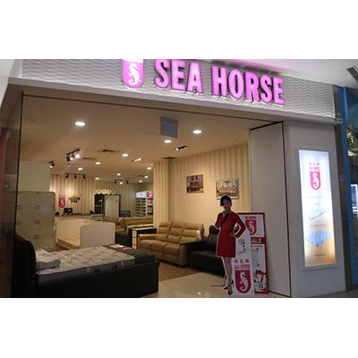 Sea Horse Shopfront