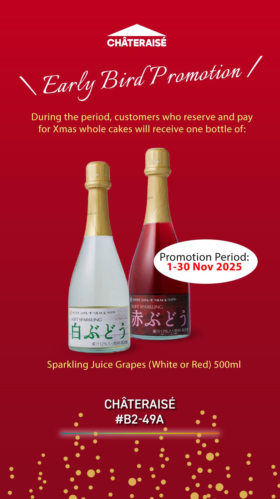 Chateraise_NEX-IGS_Christmas